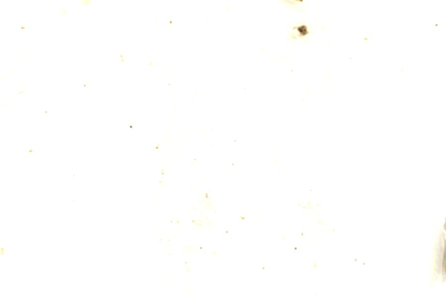 Image 117